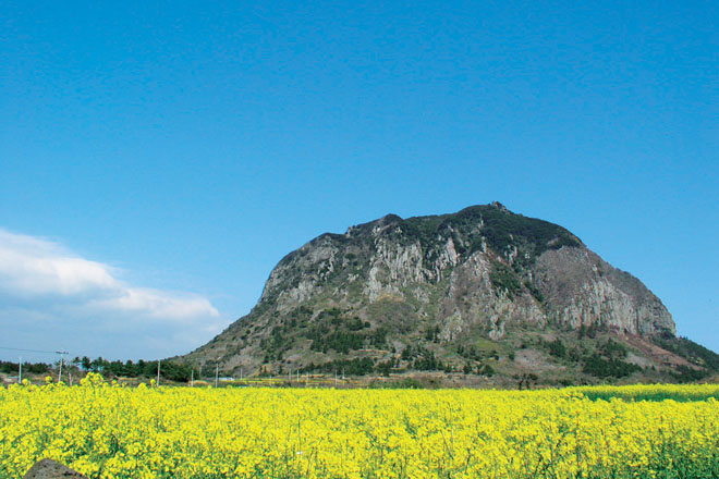 Yongpyong Ski Tour